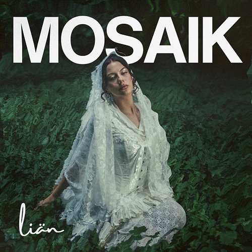 Mosaik LIÄN