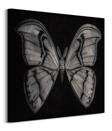 Moth - Obraz na płótnie Pyramid International