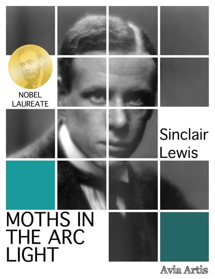 Moths in the Arc Light Lewis Sinclair