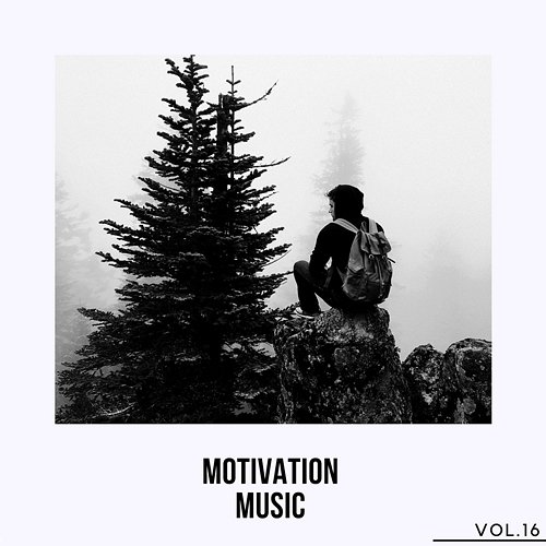 Motivation Music, Vol. 16 Various Artists