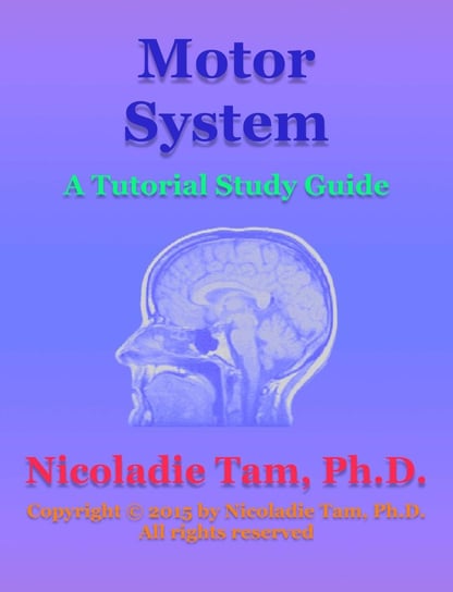 Motor System: A Tutorial Study Guide Nicoladie Tam