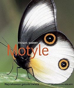 Motyle Marent Thomas