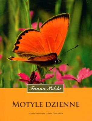 Motyle dzienne. Fauna Polski Sielezniew Marcin, Dziekańska Izabela