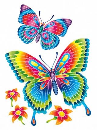 Motyle, kolorowanka z farbami KSG