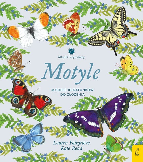 Motyle. Modele 3D. Młodzi przyrodnicy Lauren Fairgrieve
