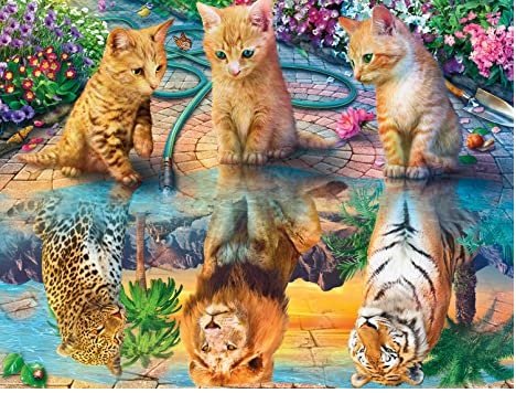 Mozaika diamentowa 3 koty lwy Norimpex