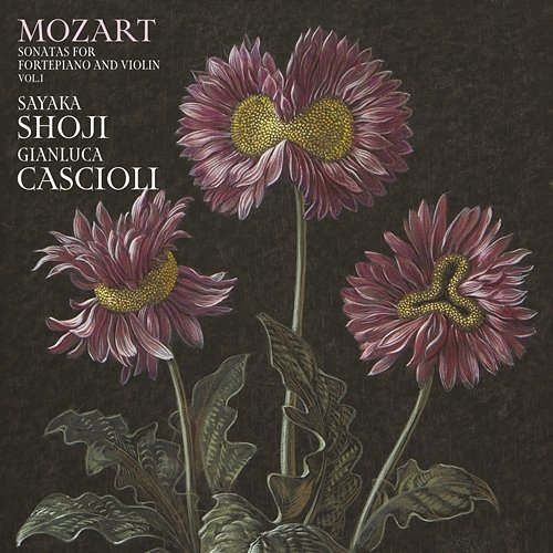 Mozart: Violin Sonata in E Minor, K. 304: II. Tempo di minuetto Sayaka Shoji, Gianluca Cascioli