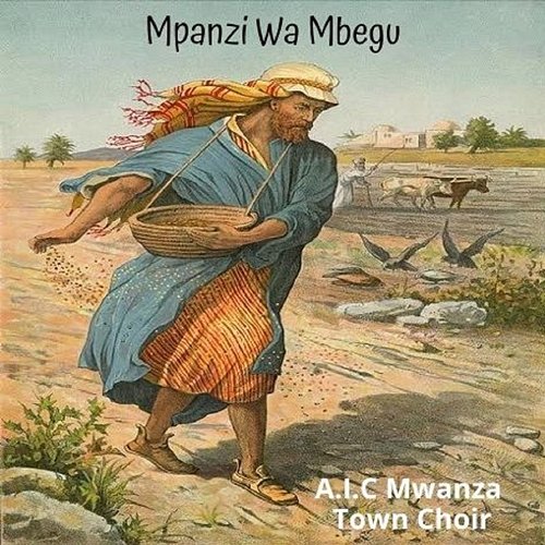 Mpanzi Wa Mbegu A.I.C Mwanza Town Choir