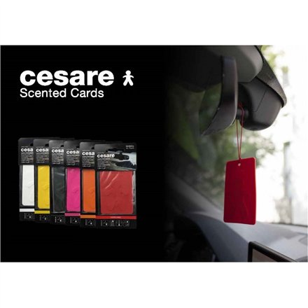 Mr&amp;Mrs Cesare Scented card JCESTES001 Scent for Car Fresh Air: Woody EVA White Mr&Mrs