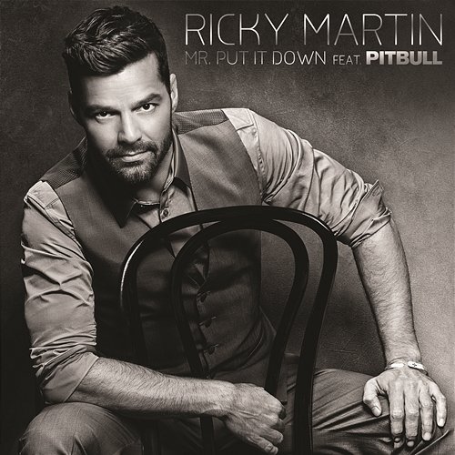 Mr. Put It Down Ricky Martin feat. Pitbull