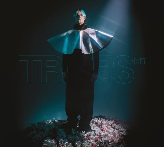 Mt Tribbs