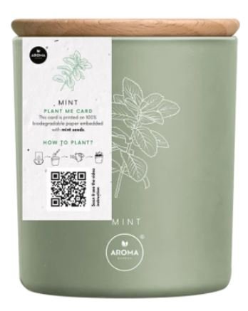 MTM, Aroma Garden, Naturalna świeca zapachowa Fresh Herbs Mint, 150 g Aroma Home