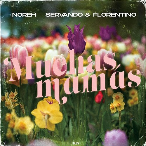Muchas Mamás Noreh, Servando y Florentino