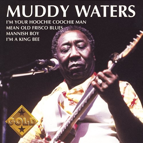 Muddy Waters Muddy Waters