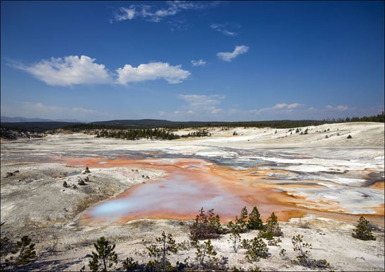 Mudpots and hot springs color the terrain in northwestern Wyoming’s Yellowstone National Park, Carol Highsmith - plakat 80x60 cm Galeria Plakatu