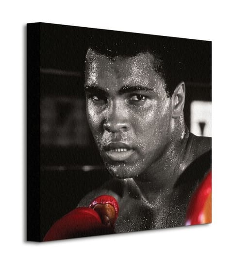 Muhammad Ali Boxing Gloves - obraz na płótnie Muhammad Ali