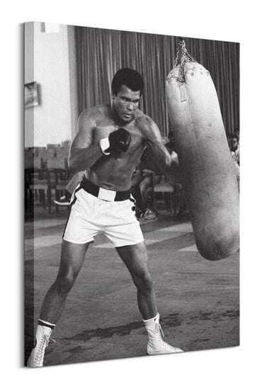 Muhammad Ali Punch Bag - obraz na płótnie Muhammad Ali