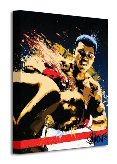 Muhammad Ali Stung - Petruccio - obraz na płótnie Muhammad Ali