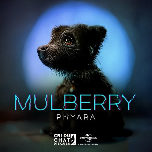 Mulberry PHYARA