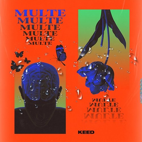 Multe Keed