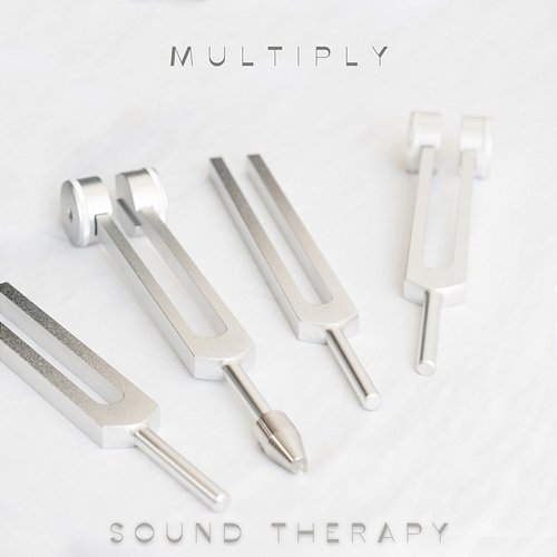 Multiply Sound Therapy