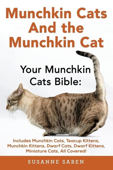 Munchkin Cats And The Munchkin Cat Saben Susanne