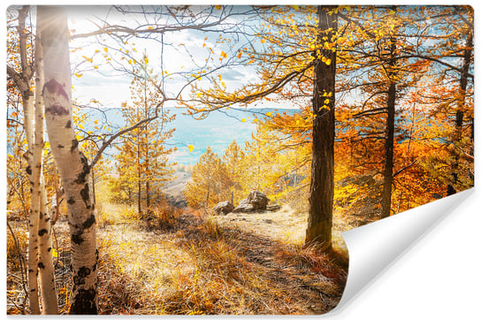 Muralo, Fototapeta 3D, krajobraz jesień, 180x120 cm Muralo