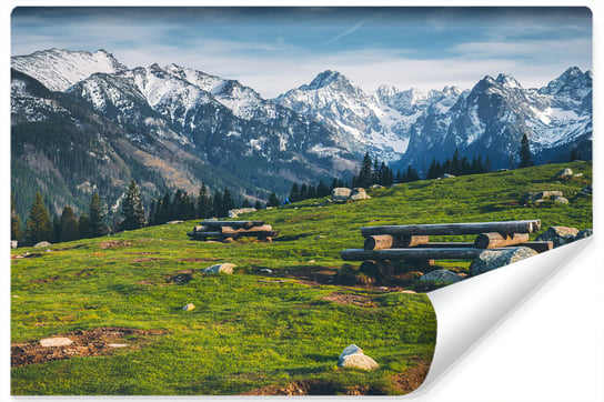 Muralo, Fototapeta 3D, krajobraz Tatry, polana, 450x300 cm Muralo