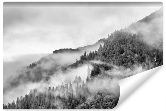 Muralo, Fototapeta do salonu 3D, góry, las we mgle, 315x210 cm Muralo