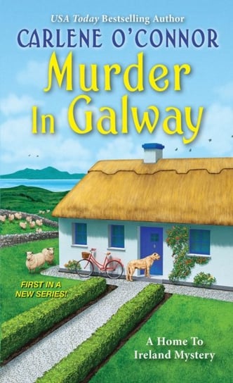 Murder In Galway Carlene O'Connor