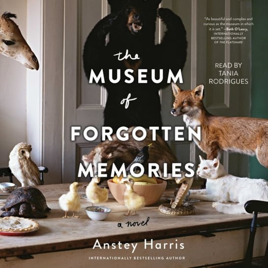 Museum of Forgotten Memories Harris Anstey