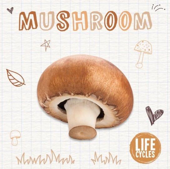 Mushroom Kirsty Holmes