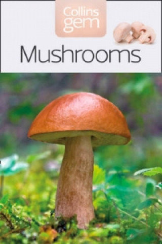 Mushrooms Harding Patrick