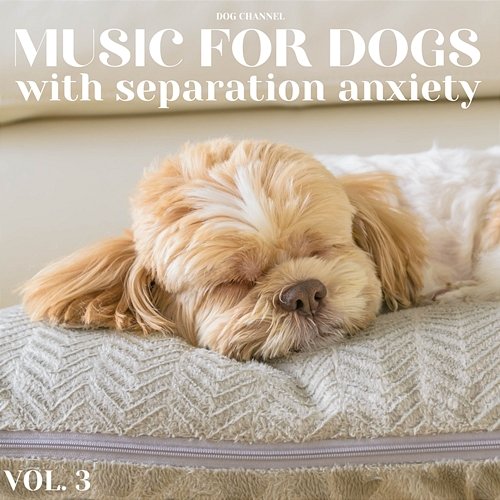Music for Dogs with Separation Anxiety Vol. 3 Dog Channel