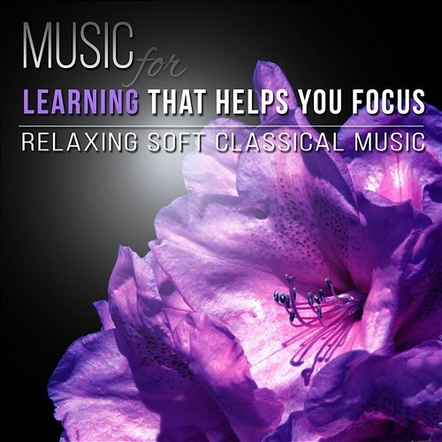 Music for Learning that Helps You Focus - Relaxing Soft Classical Music for Exam Study and Essential Classical Works to Relax Stefan Ryterband, Rosa Aldrovandi