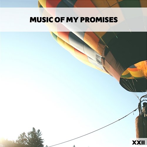 Music Of My Promises XXII Various Artists