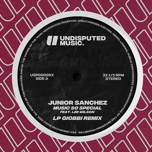 Music So Special Junior Sanchez feat. Lee Wilson