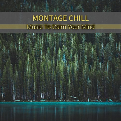 Music to Calm Your Mind Montage Chill