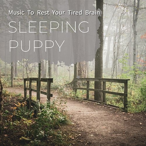 Music to Rest Your Tired Brain Sleeping Puppy