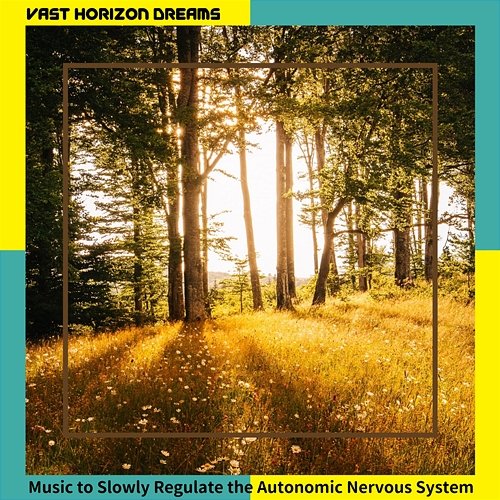 Music to Slowly Regulate the Autonomic Nervous System Vast Horizon Dreams
