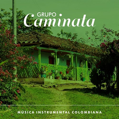 Música Instrumental Colombiana Grupo Caminata
