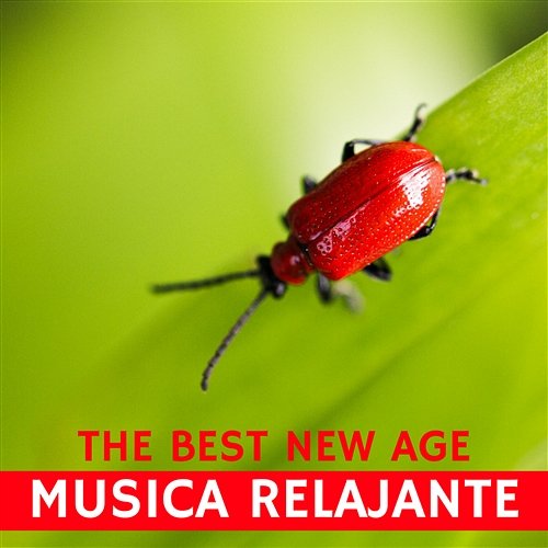 Musica relajante – Musica New Age de fondo con sonidos de la naturaleza, spa, masaje, meditacion, yoga, concentracion, Música súper relajante