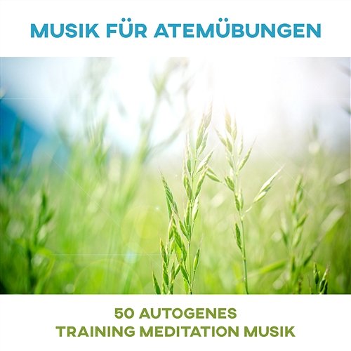 Musik für Atemübungen: 50 Autogenes Training Meditation Musik, Naturgeräusche und Asian Zen Musik für Yoga, Stressabbau - Zeit für Innere Stille Various Artists
