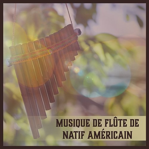 Musique de flûte de natif américain - L'âge spirituel nouveau sonne pour le repos, La méditation profonde, Zen, Détendez votre âme, Chakra équilibre Naturel Relaxation Ambiance