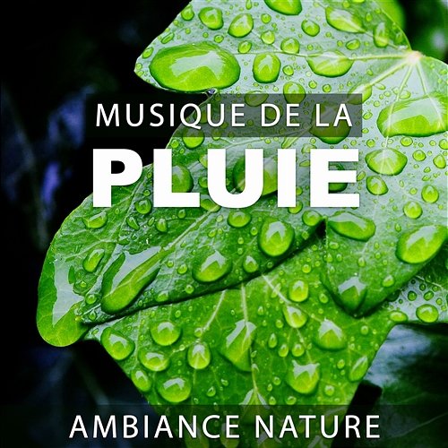 Musique de la pluie: Ambiance nature - La guérison de l'eau, Musiques relaxantes, Zen chillout (101 Minutes) Nature Collection