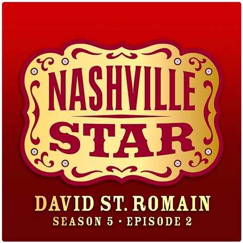 Must Be Doin' Somethin' Right [Nashville Star Season 5 - Episode 2] David St. Romain