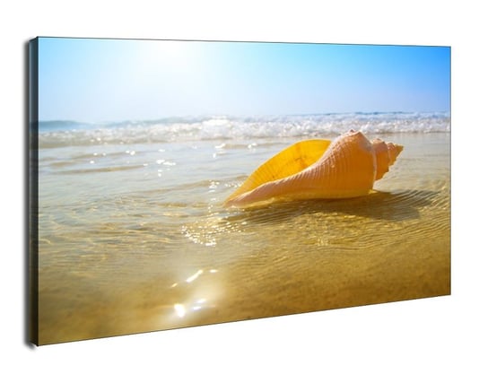 Muszelka na plaży, ocean - obraz na płótnie 30x20 cm Galeria Plakatu