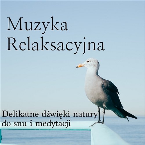 Muzyka Relaksacyjna - Delikatne Dźwięki Natury do Snu i Medytacji Relaksacja Medytacja