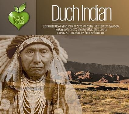 Muzykoterapia: Duch Indian Various Artists