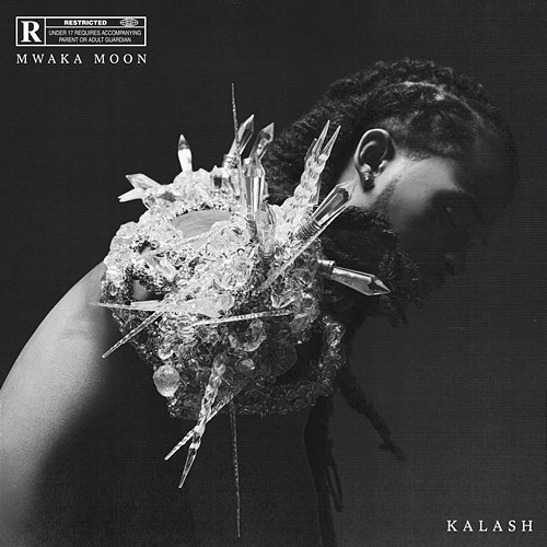 I Wanna Be Loved Kalash